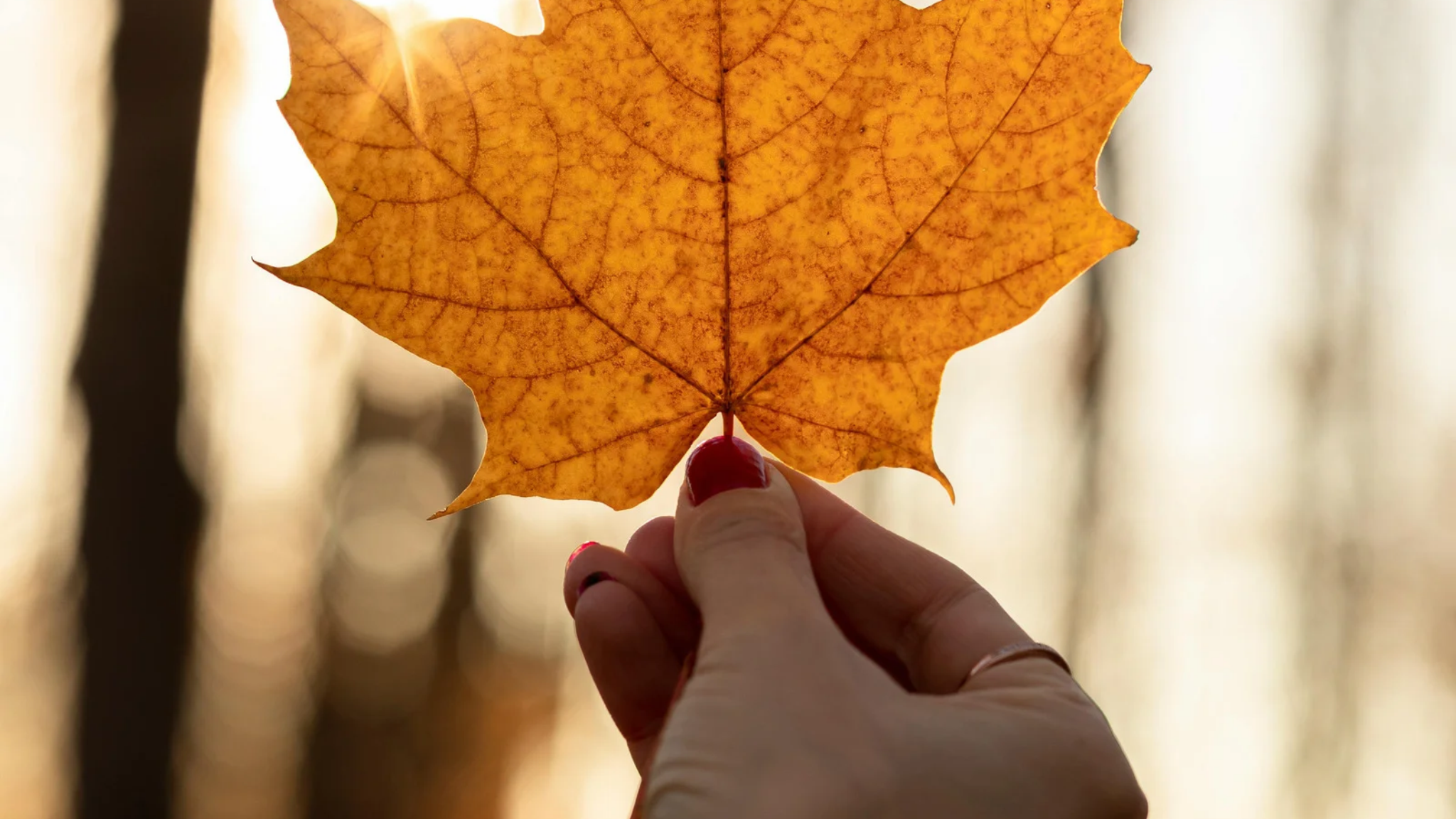 How to Make October Your Best Ever!